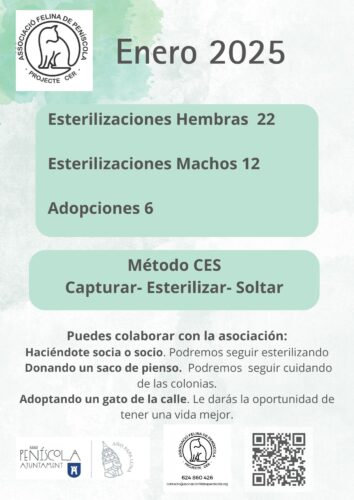 Resumen AFP enero 2025